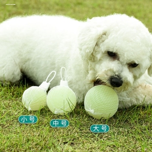 狗狗玩具球弹力耐咬磨牙训犬球夜光发光宠物解闷浮水橡胶互动飞盘