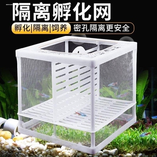 鱼缸繁殖隔离盒隔离网孔雀鱼大号孵化器热带鱼小鱼苗繁殖箱分离网