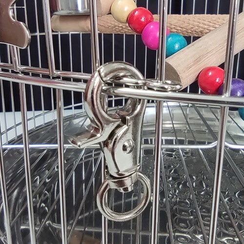 猫狗笼子锁扣挂D型狗窝锁钩鹦鹉鸟笼扣八哥鸟笼锁荷兰猪龙猫笼锁
