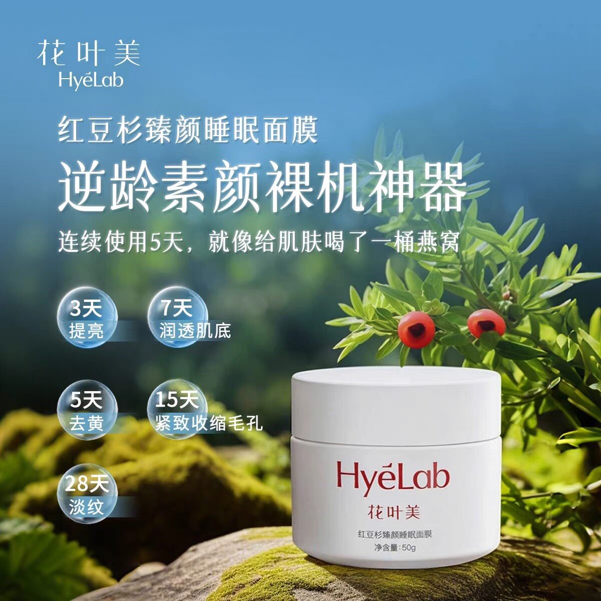 花叶美红豆杉臻颜睡眠面膜50g紧致淡纹舒缓嫩肤收缩毛孔正品