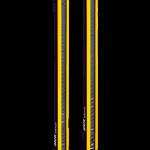 询价西克SICK安全光幕1211502 C4C-EA12030A10000