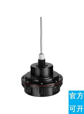 议价E+H声波液位计探头 FDU93-RG1A 恩德斯豪斯