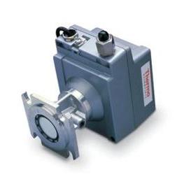 议价拉姆齐Thermo Ramsey) DTR131微波流量探测器