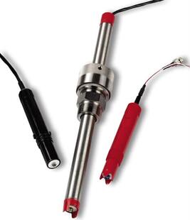 议价探头电极AP303 STD 21020001