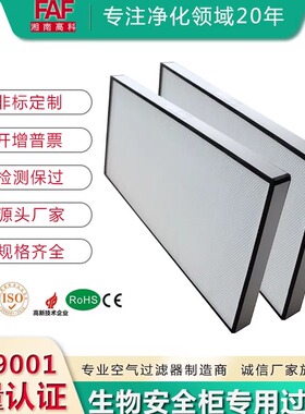 百级生物安全柜过滤器 赛默飞博科力申ESCO 洁净工作台超高效滤芯