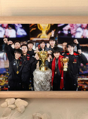 王者荣耀AG冠军奖杯最合拍相框KPL梦之队AG夺冠周边纪念摆台摆件
