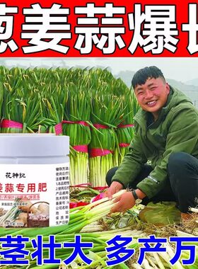 葱姜蒜专用肥料种蔬菜有机肥厚叶