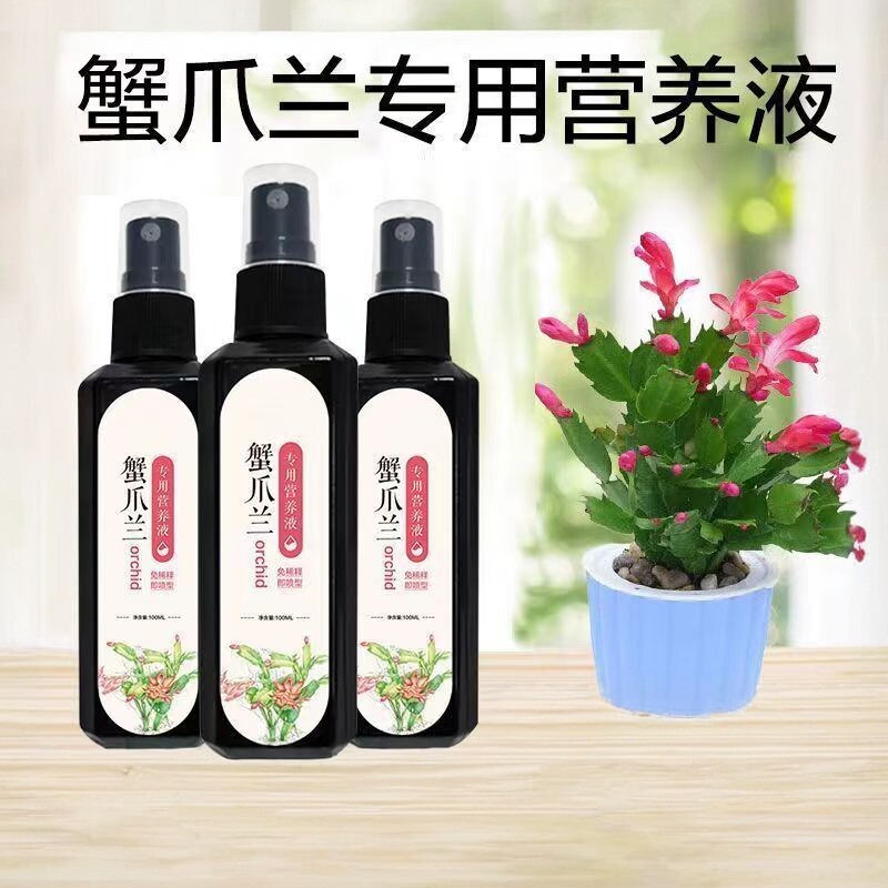 蟹爪兰专用肥营养液急救发蔫软烂黄叶壮根液体肥通用型促开花爆盆
