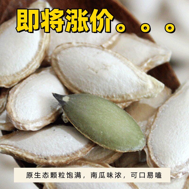 生南瓜子2026新货大颗粒农家瓜子