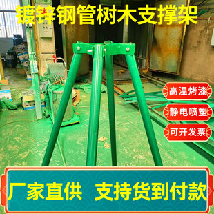 园林绿化镀锌钢管树木支撑架苗木支架防风防倒大树园艺固定器厂家