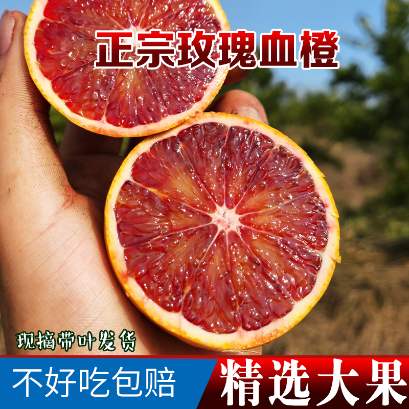 长寿湖现摘玫瑰血橙四川当季新鲜水果红心手剥橙子10斤雪橙包邮,水产肉类/新鲜蔬果/熟食,橙,淘宝优惠券,粉丝福利购,淘宝优惠卷