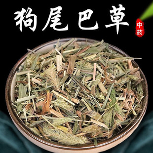 中药材正品狗尾草500克 毛虫草 谷莠子 九尾草 狗尾巴草干货切段