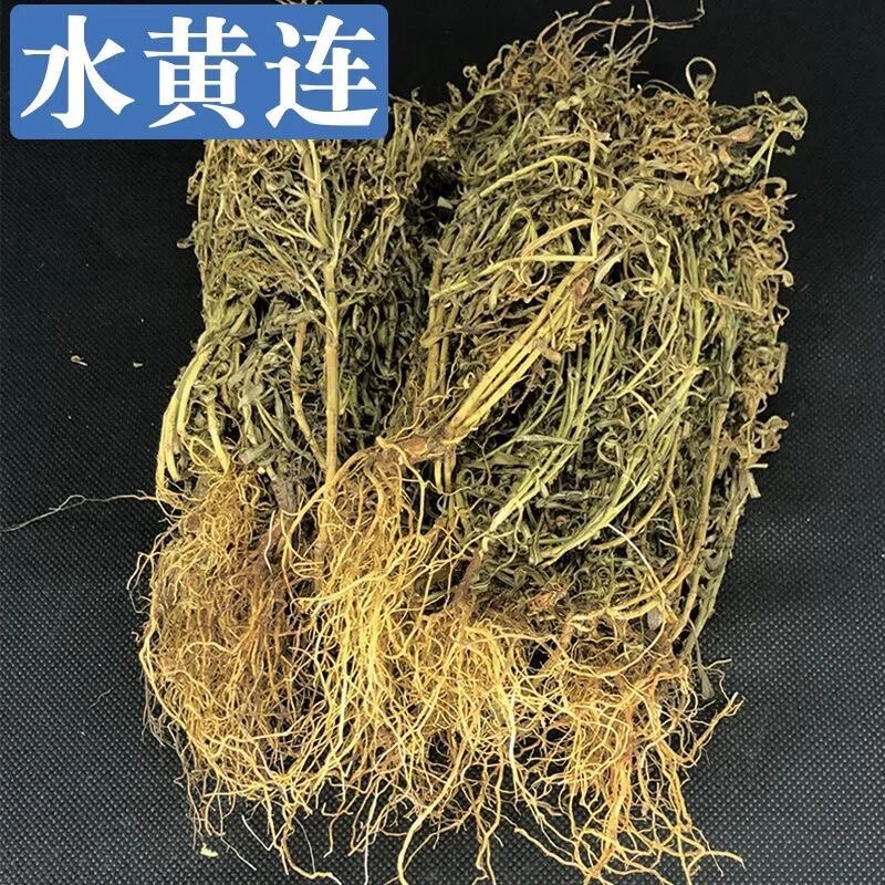 水灵芝中草药 新货包邮 水黄连 鱼胆草正品无杂质 量大从优