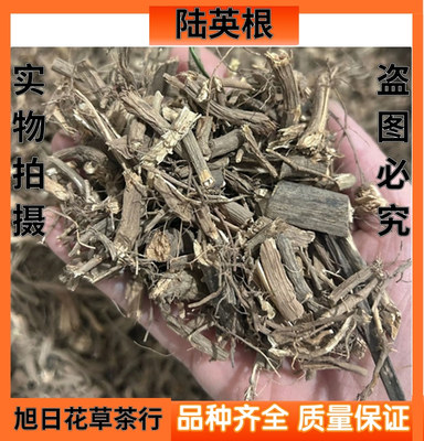 陆英根中药材走马箭纯根八棱麻纯根部八里麻接骨草500g包邮