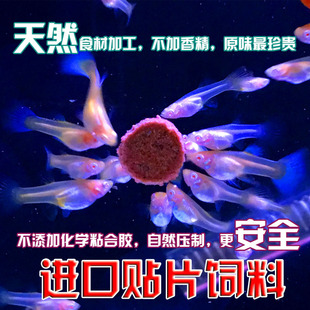 进口贴片 红虫 大蒜 丰年虾 蓝藻 孔雀鱼 观赏鱼 鱼食 饲料