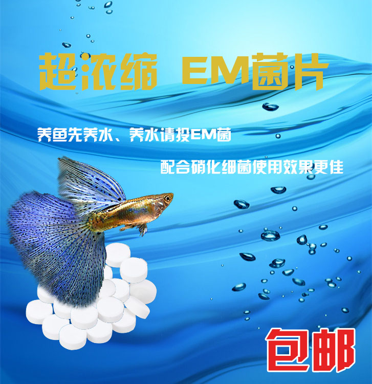 包邮进口超浓缩养鱼硝化菌