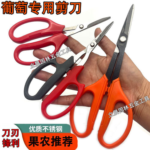 不锈钢翘头剪刀稀果疏果摘果神器