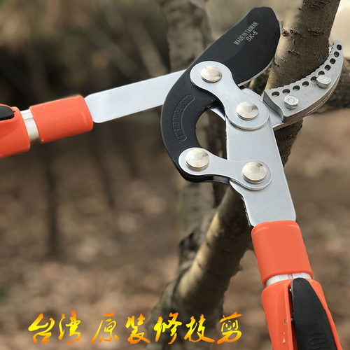 修剪树枝剪刀粗枝剪高枝剪省力