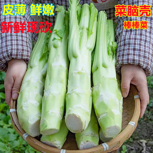 四川农家棒棒菜芥菜头青菜脑壳自种时令蔬菜青菜头青笋薄皮新鲜嫩