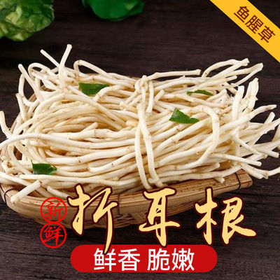 四川折耳根凉拌蔬菜脆嫩鲜香速发