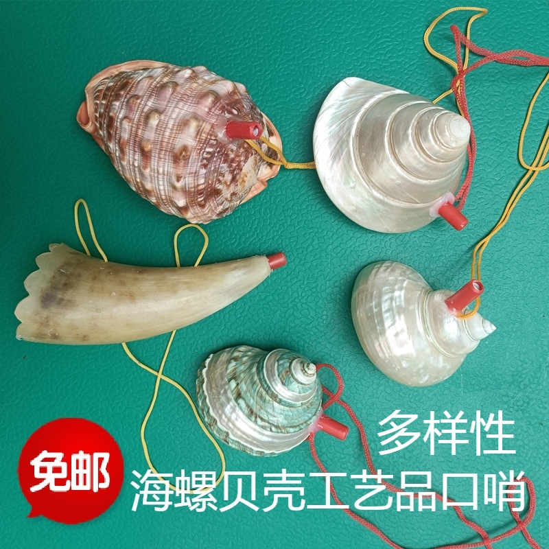 包邮天然海螺贝壳工艺品口哨吹号 儿童玩具吹哨子绿蝾螺珍珠塔螺