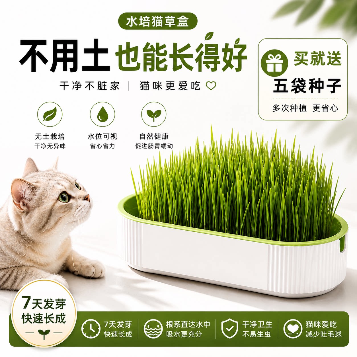 水培猫草盒小麦种子懒人种植无土水培猫薄荷干净去毛球猫咪零食