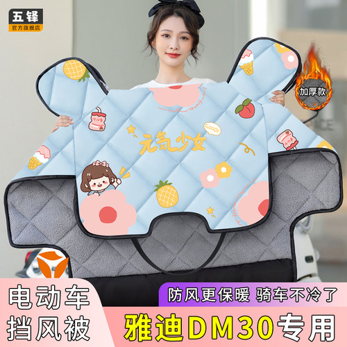 雅迪DM30电动车挡风被电车冬季款加绒加厚四季通用电瓶车防风罩