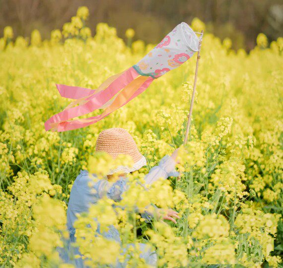 网红小红书儿童春天拍照蝴蝶风筒旗 拍照鲤鱼旗日式儿童拍照旗帜