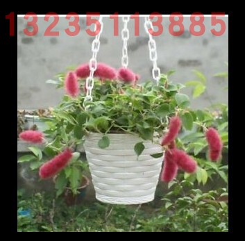 田园风格的吊式塑料花盆 花篮 式样美观 耐用 白色花盆