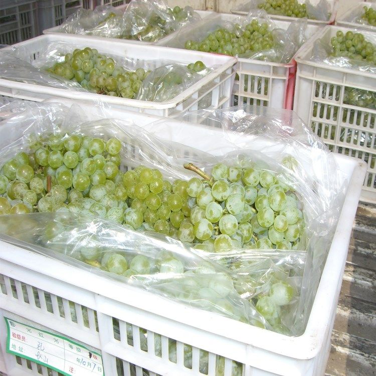荔枝葡萄猕猴桃水果专用保鲜袋10斤装20斤装塑料袋包装袋薄膜袋