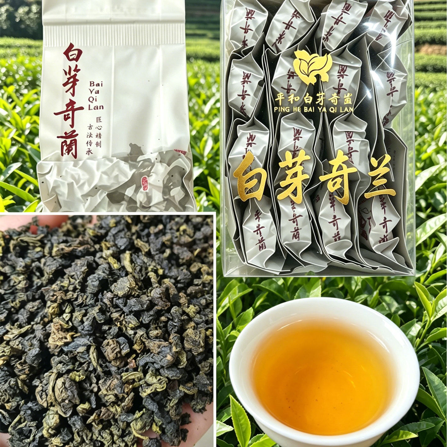 白芽奇兰特级清香春茶漳州小袋装
