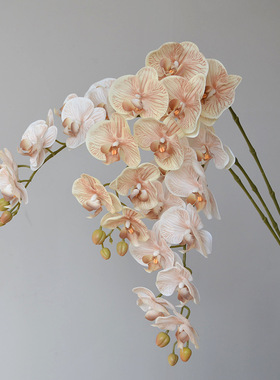 家居装饰仿真花9头蝴蝶兰手感单支花酒店样板间软装假花摄影假花