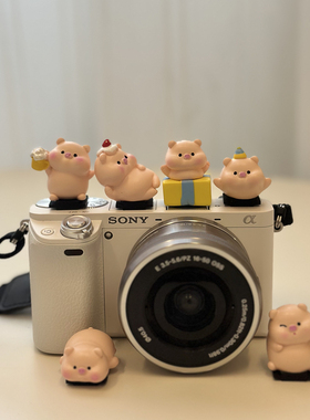 可爱生日派对小猪相机热靴盖装饰富士佳能索尼奥林巴斯徕卡礼物