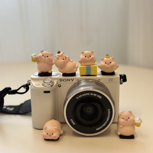 可爱生日派对小猪相机热靴盖装饰富士佳能索尼奥林巴斯徕卡礼物