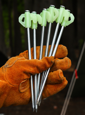 户外便携帐篷地钉野营露营防风固定钉夜光钉21cm钢钉地丁套装