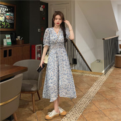 Real price V-neck small Floral Chiffon Dress