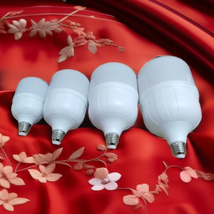 博尔美20瓦lED灯泡球泡节能灯超亮家用白光室内厂房照明灯专用