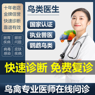 玄凤鹦鹉医生各种鸟类生病不适问诊看病大夫专业会诊在线咨询治疗