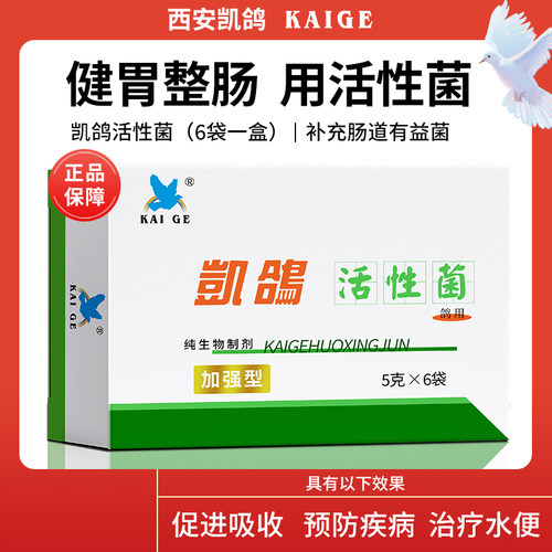 大全鸽药凯鸽活性菌肠道调理用品