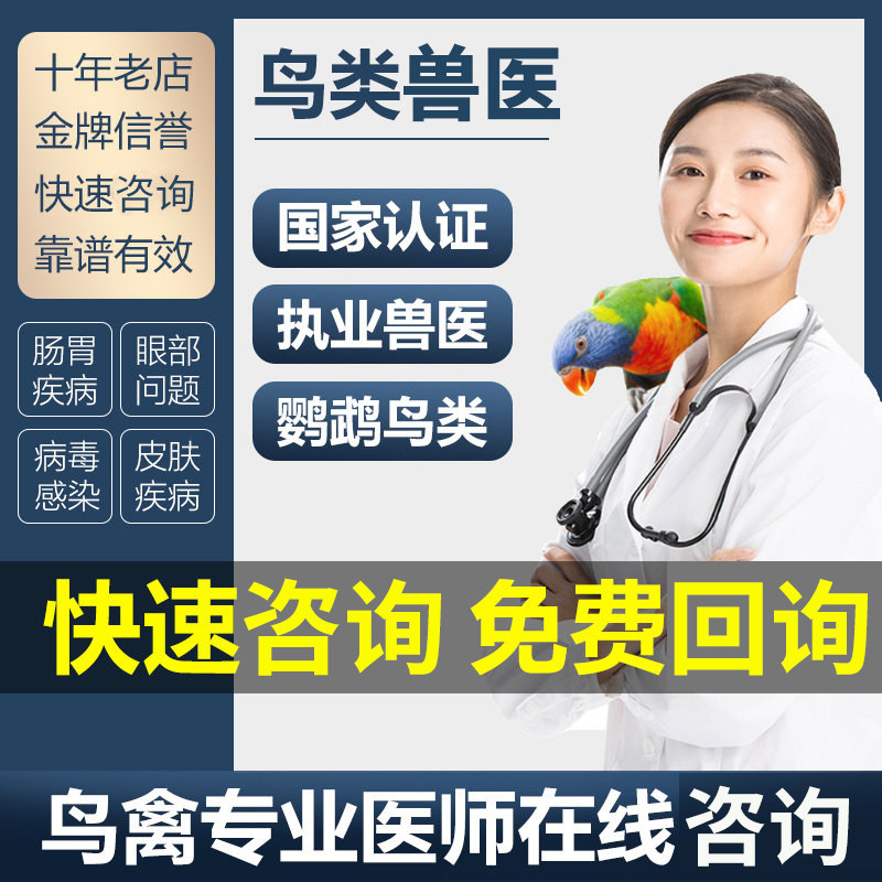 玄凤鹦鹉医生各种鸟类生病不适问诊看病大夫专业会诊在线咨询治疗