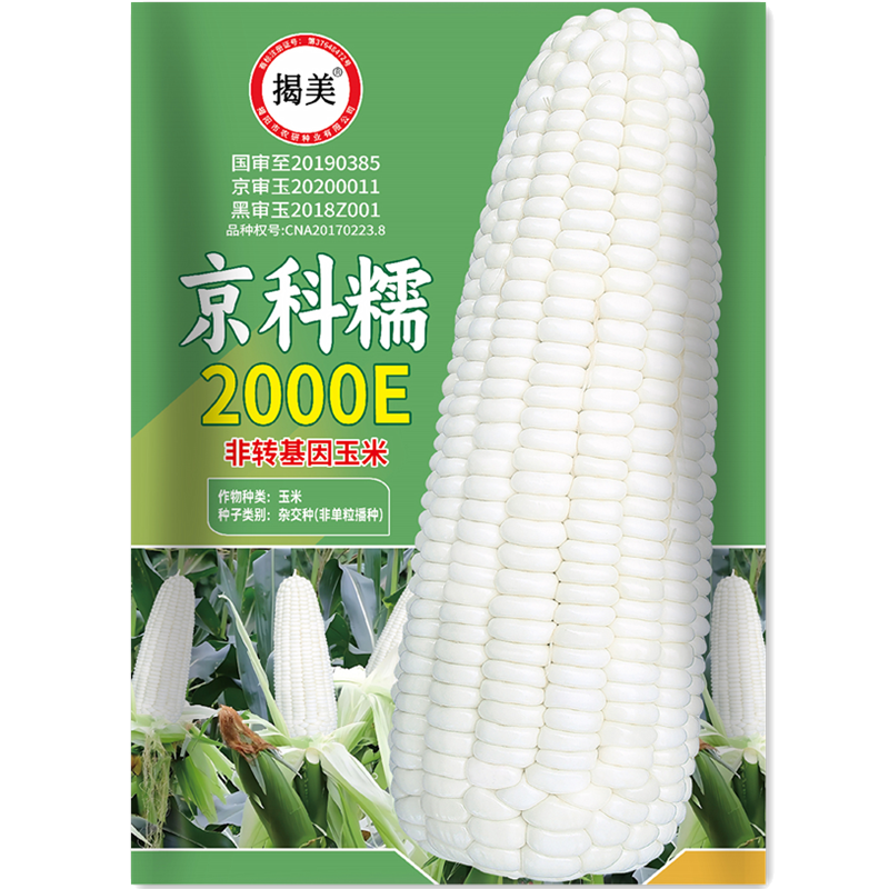 揭美京科糯2000E白糯玉米种子 杂交高产甜糯玉米籽 春秋种子20克