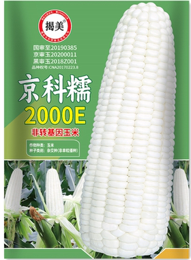 揭美京科糯2000E白糯玉米种子 杂交高产甜糯玉米籽 春秋种子20克