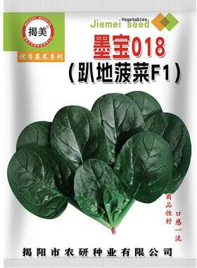杂交墨宝018趴地菠菜种子 深绿圆叶矮株半趴地菠菜 蔬菜种子20克