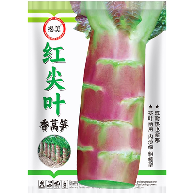 10克香甜阳台盆栽莴笋种子