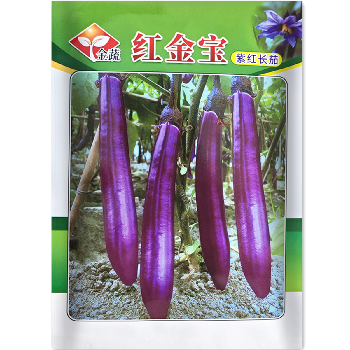 红金宝紫红长茄种子 皮薄肉嫩紫长茄 中早熟大田阳台茄子籽 5克装