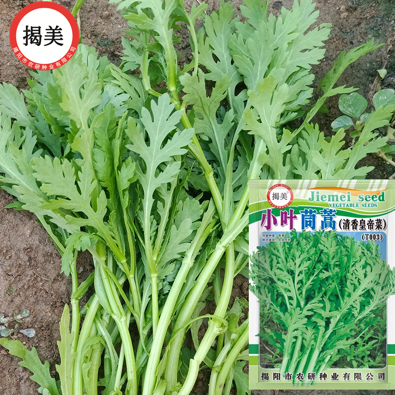 皇帝菜种子 花叶小叶茼蒿菜籽原装20克、250克装秋播易种蔬菜种子,鲜花速递/花卉仿真/绿植园艺,家庭园艺种子,淘宝优惠券,粉丝福利购,淘宝优惠卷