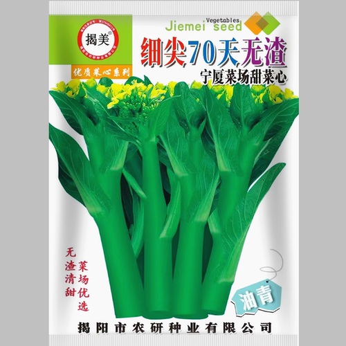 蔬菜高产澳洲品种简单油菜心原厂