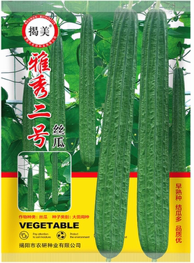 蔬菜种子丝瓜棱角丝瓜籽