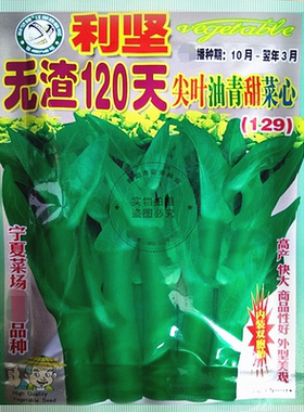 无渣120天尖叶大田蔬菜种子