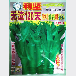 蔬菜种子油菜 利坚无渣120天尖叶菜心种子 甜菜心 油菜心大田用种